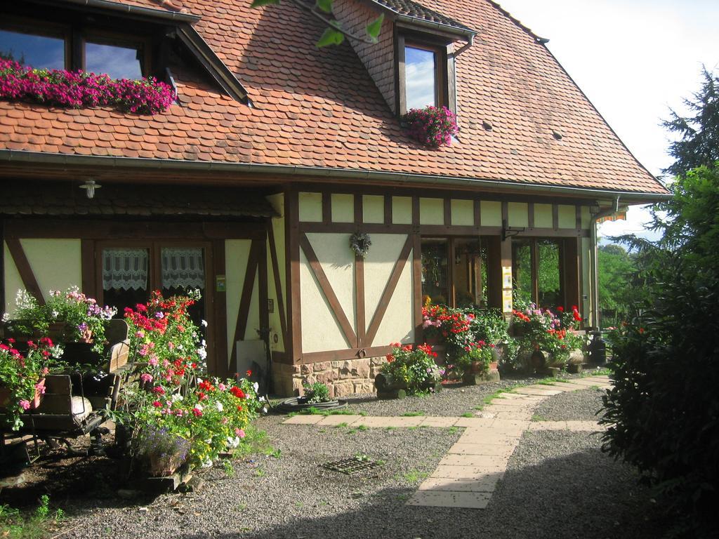 Le Neufeld Bed & Breakfast Oberhaslach Exterior photo