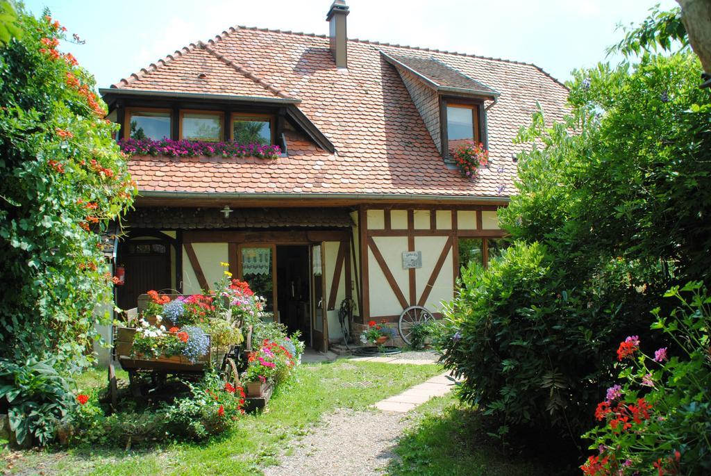 Le Neufeld Bed & Breakfast Oberhaslach Exterior photo