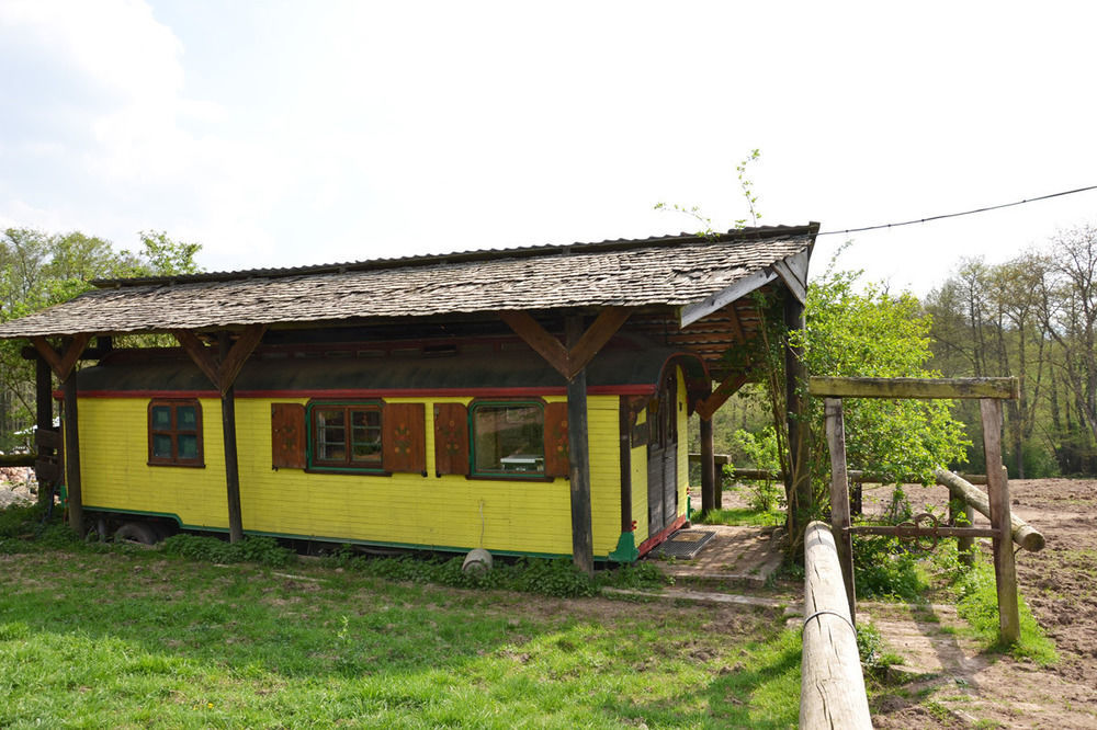 Le Neufeld Bed & Breakfast Oberhaslach Exterior photo