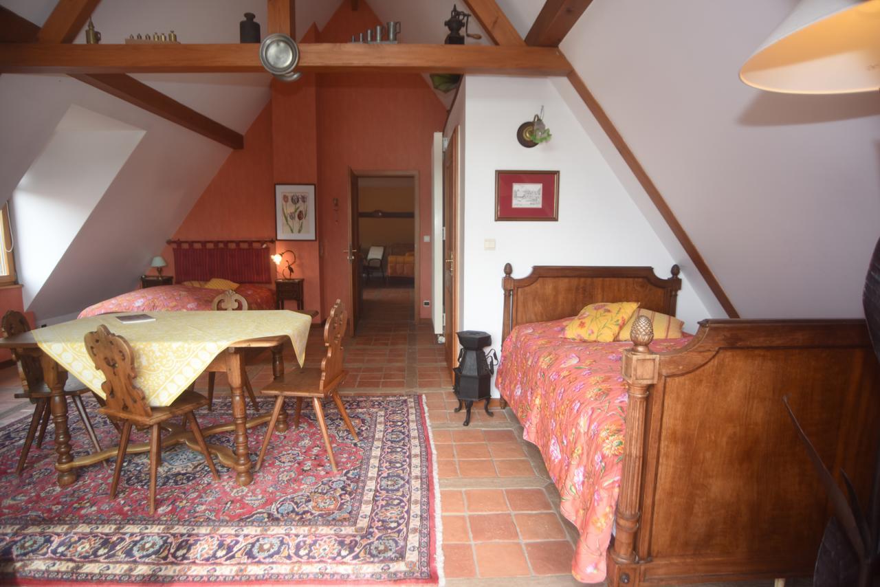 Le Neufeld Bed & Breakfast Oberhaslach Exterior photo