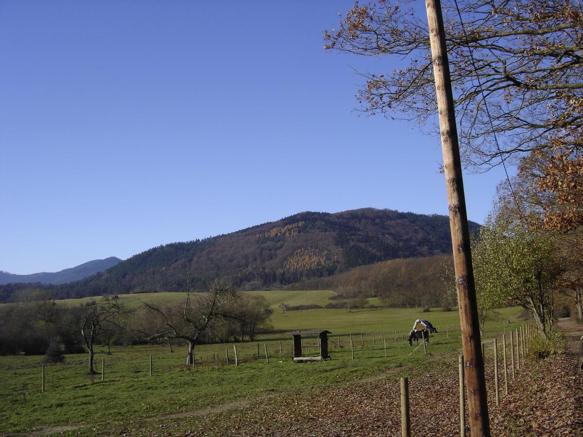 Le Neufeld Bed & Breakfast Oberhaslach Exterior photo